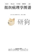 组织病理学图谱   1997  PDF电子版封面  7805302073  （日）饭岛宗一等主编；在日中国人病理同学会译 