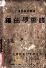 细菌学图谱 1951 PDF电子版封面 魏曦编