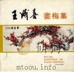 王成喜画梅集 1988 PDF电子版封面 7805010242 王成喜绘