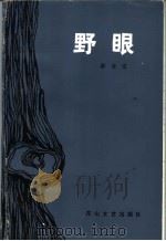 野眼 1990 PDF电子版封面 7805053596 赵云江编