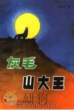 灰毛山大王 1989 PDF电子版封面 7537603731 朱新望著