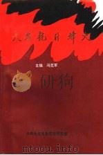 大名抗日烽火（1997 PDF版）