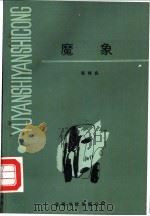 魔象 1992 PDF电子版封面 96244047313 张伟良著