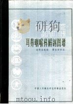 耳鼻咽喉科解剖图谱 PDF电子版封面 汪得信选编