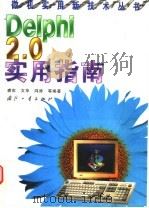 Delphi 2.0实用指南 1998 PDF电子版封面 7118018414 裘实等编著