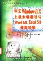 中文Windows 3.X上机实验指导与Word 6.0、Excel5.0使用经验 1998 PDF电子版封面 7801243978 王路敬等编著