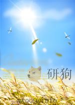 coreldraw 10基础教程 P269（ PDF版）