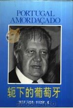 轭下的葡萄牙 1992 PDF电子版封面 7505905961 (葡萄牙)马里奥·苏苏亚雷斯著;李小冰,王华峰,刘克新,张翠