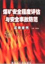 煤矿安全程度评估与安全事故防范实务全书  第3卷（ PDF版）