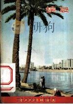 埃及 1956 PDF电子版封面 冯之丹著;炜克,王惟绘图