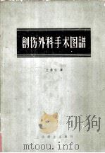 创伤外科手术图谱 1958 PDF电子版封面 14120·382 (奥地利)拉塞(O.Russe)著;王泰仪译