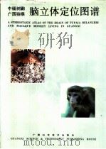 中缅树鼩广西猕猴脑立体定位图谱 1990 PDF电子版封面 7805654174 杨文光主编