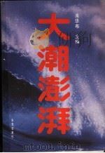 大潮澎湃 1989 PDF电子版封面 7800391437 朱华布主编