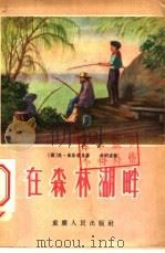 在森林湖畔 1956 PDF电子版封面 (苏)索洛达里(Ц.Солодарь)著;李明道译
