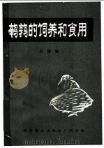 鹌鹑的饲养和食用 1983 PDF电子版封面 16051·60253 田野编