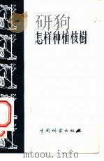 怎样种植桉树 1956 PDF电子版封面 叶桂艳编