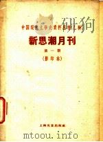 新思潮月刊  第1期  影印本  1928的世界经济-1929年第一季世界经济与政策的第1部（ PDF版）