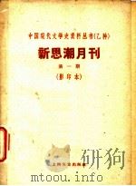 新思潮月刊 第1期 影印本 新书批评及介绍 评“政治之基础知识” PDF电子版封面 10078·1674 萨孟武著;子开
