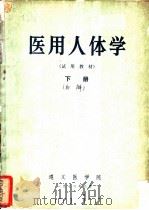 医用人体学  下（1972 PDF版）