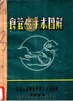 食管癌手术图解（1977 PDF版）