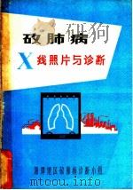 矽肺病X线照片与诊断（ PDF版）