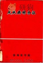 皮肤病综合征（ PDF版）
