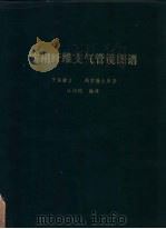 实用纤维支气管镜图谱（ PDF版）
