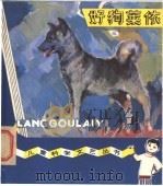 好狗莱依 1982 PDF电子版封面 10051·1017 (苏联)维·比安基著;王汶译