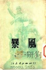 风暴 1953 PDF电子版封面 卡达耶夫等著;徐克刚译