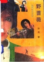 野蔷薇 1990 PDF电子版封面 7505008811 赤布著