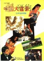 中国大富豪 1993 PDF电子版封面 7530413767 王亚平编著