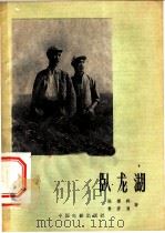 电影文学剧本  卧龙湖   1959  PDF电子版封面  10061·148  陈登科，鲁彦周著 