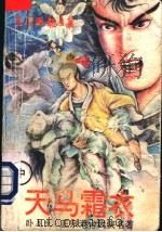天马霜衣 中 1993 PDF电子版封面 7531308878 (台湾)卧龙生著