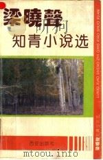 梁晓声知青小说选 1993 PDF电子版封面 7805940193 梁晓声著