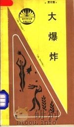 大爆炸 1988 PDF电子版封面 7800410641 贾宏图著