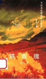 铁玫瑰   1994  PDF电子版封面  780074874X  冰马著 