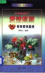 爱情规则  青年爱情圣经（1999 PDF版）