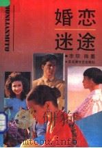 婚恋迷途 1992 PDF电子版封面 7805791716 李琼,陈墨著