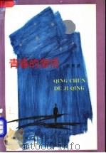 青春的激情 1991 PDF电子版封面 7530708481 常新港著
