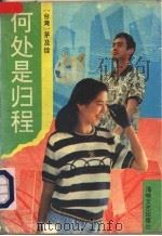 何处是归程 1993 PDF电子版封面 7805345449 (台湾)茅及铨著
