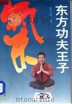 东方功夫王子 1993 PDF电子版封面 7805427402 熊召政著