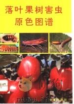 落叶果树害虫原色图谱 1994 PDF电子版封面 780022855X 冯明祥,窦连登主编