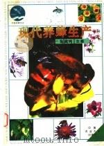 现代养蜂生产 1998 PDF电子版封面 7810029924 张复兴主编