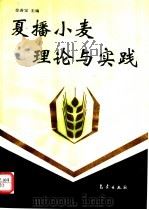夏播小麦理论与实践 1994 PDF电子版封面 7502917772 金善宝主编