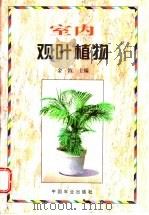 室内观叶植物 1998 PDF电子版封面 7109049485 金波主编