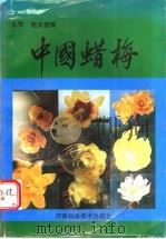 中国蜡梅 1993 PDF电子版封面 7534913632 赵天榜等主编