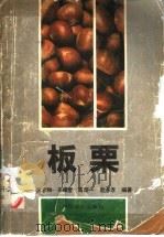 板栗 1989 PDF电子版封面 7503802669 张宇和等编著