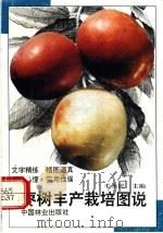 枣树丰产栽培图说 1997 PDF电子版封面 7503817291 毛永民主编