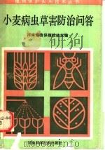 小麦病虫草害防治问答 1991 PDF电子版封面 7534907888 河南省植保植检站主编