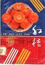 红桔   1991  PDF电子版封面  7536417292  沈兆敏等编著 
